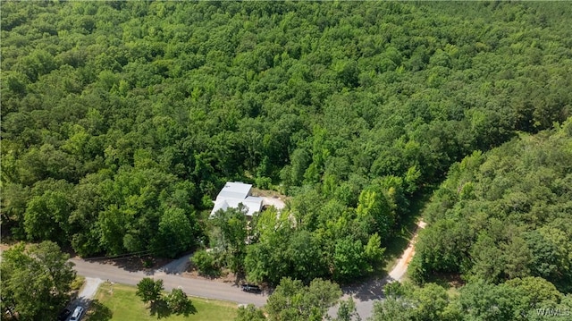 14161 Marley Rd, Tuscaloosa, AL 35453 - photo 11