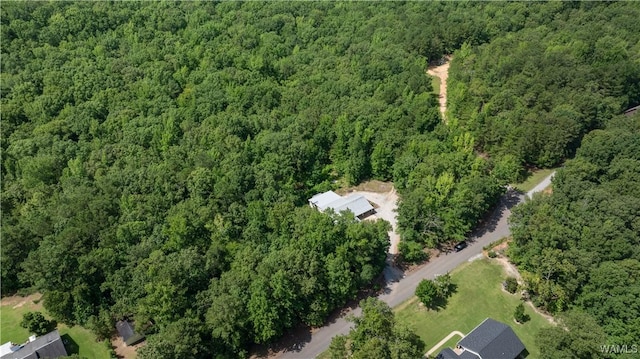 14161 Marley Rd, Tuscaloosa, AL 35453 - photo 16
