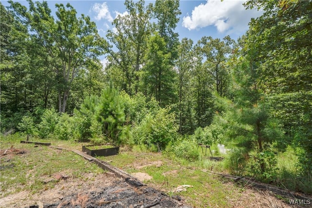 14161 Marley Rd, Tuscaloosa, AL 35453 - photo 64