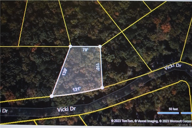 000 Vicki Dr, Lake View AL, 35111 land for sale