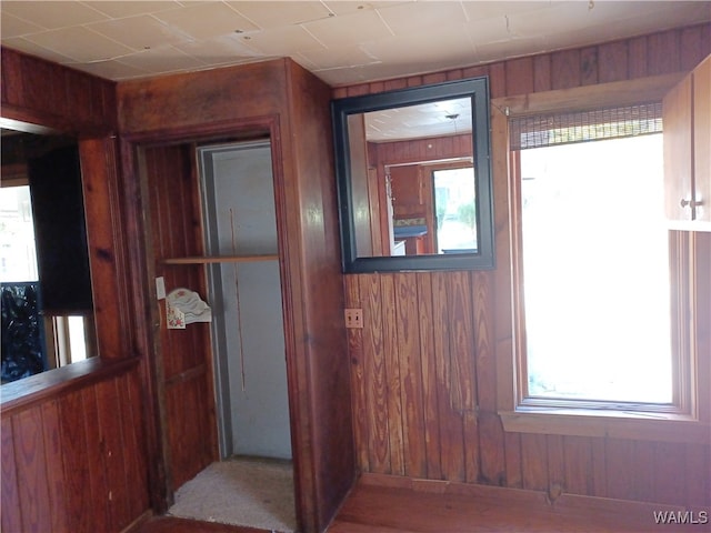 interior space with wood walls