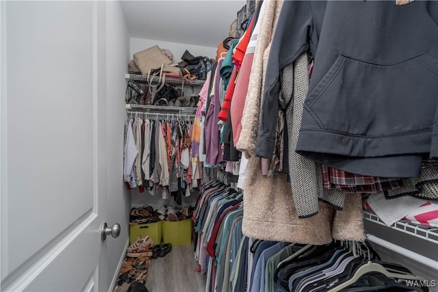 walk in closet featuring hardwood / wood-style floors