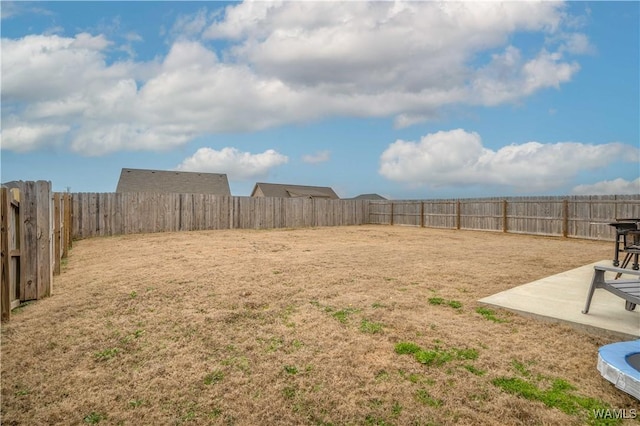 view of yard with a patio area