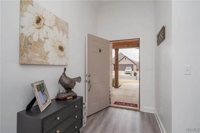 entrance foyer with crown molding and wood-type flooring