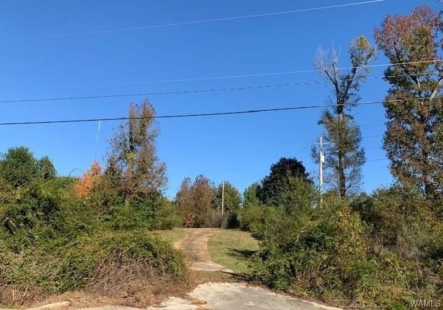 403 34th Ave E, Tuscaloosa, AL 35404 - photo 8