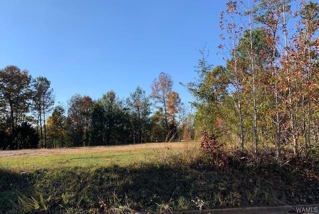 403 34th Ave E, Tuscaloosa, AL 35404 - photo 9