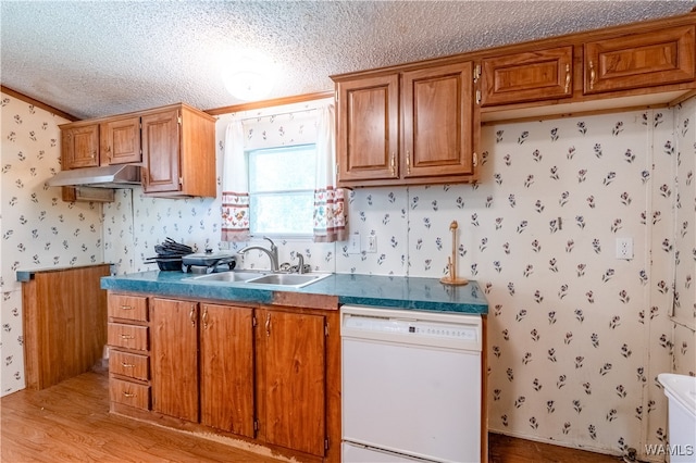 kitchen featuring dishwasher, sink, light wood-type flooring, and a textured ceiling