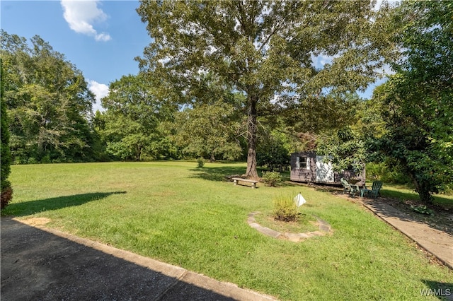 view of yard featuring a storage shed