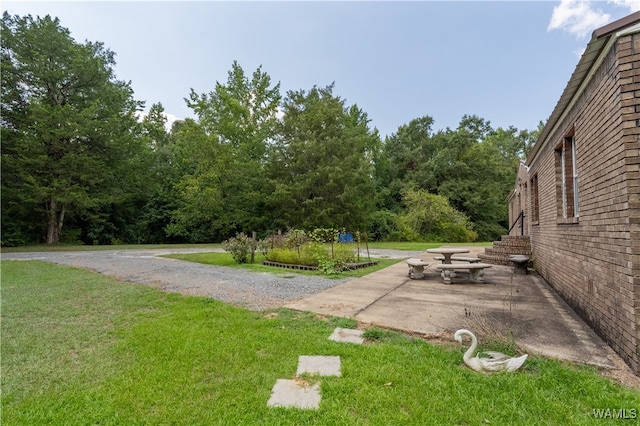 view of yard featuring a patio