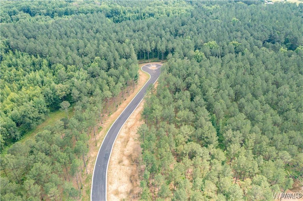 LOT9 Northside Rd, Berry, AL 35546 - photo 1