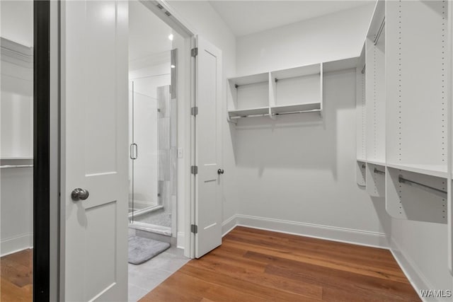 301 Trails End Ln, Tuscaloosa, AL 35406 - walk in closet with wood finished floors