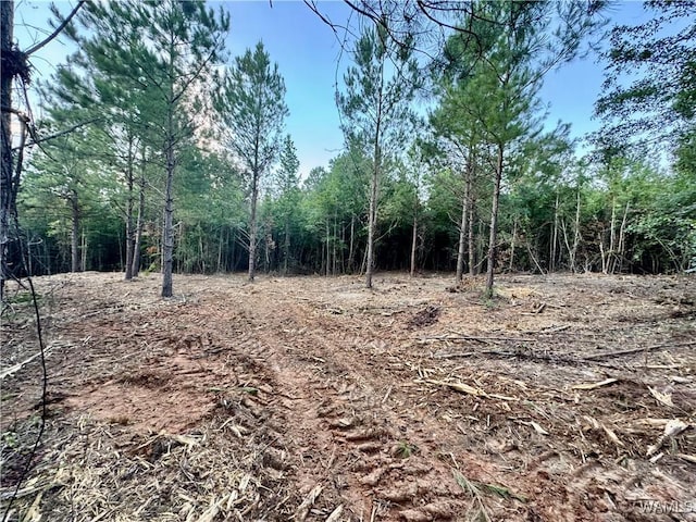 7 Cedar Ridge Knl, Northport, AL 35475 - photo 6