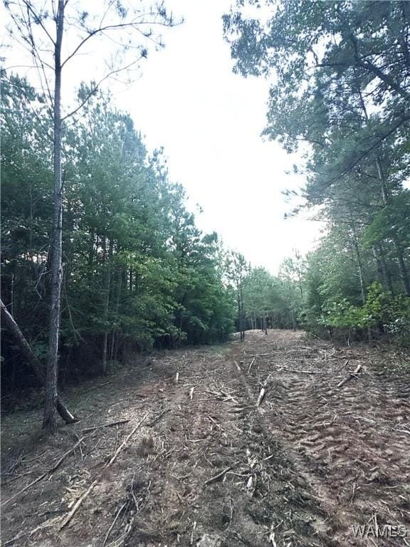 7 Cedar Ridge Knl, Northport, AL 35475 - photo 5