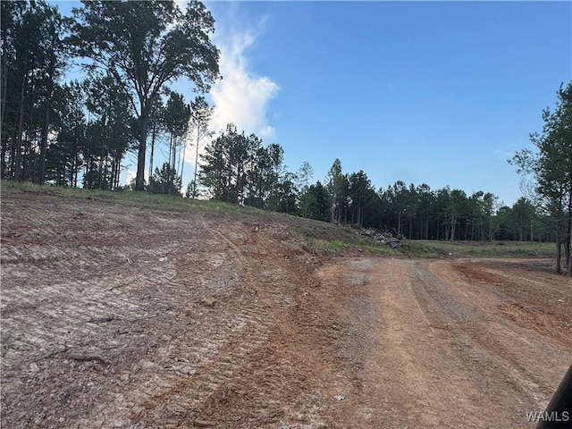7 Cedar Ridge Knl, Northport, AL 35475 - photo 2