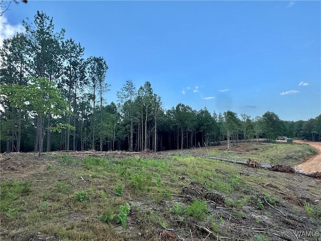 7 Cedar Ridge Knl, Northport, AL 35475 - photo 4
