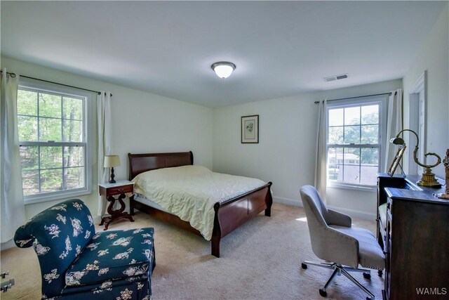 4401 Nicholas Ave, Northport, AL 35473 - bedroom with multiple windows, carpet flooring, and baseboards