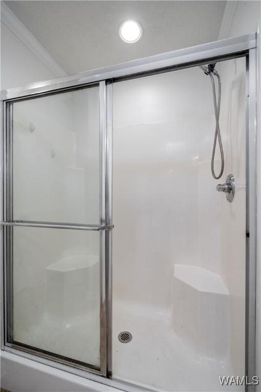 bathroom featuring a shower with shower door