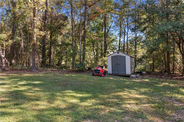 view of yard featuring a storage unit