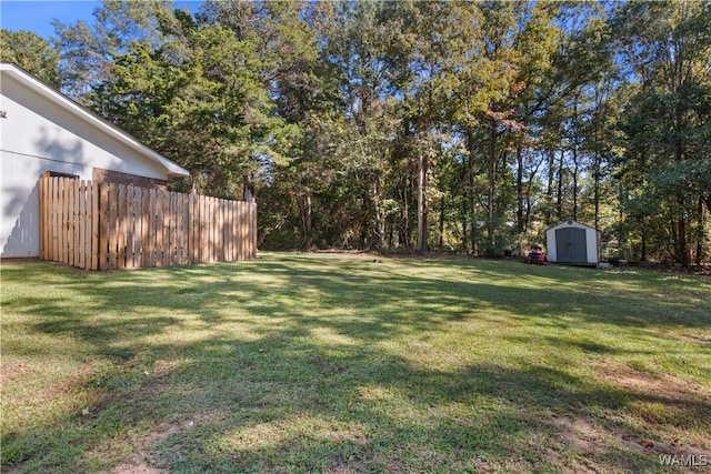 view of yard featuring a shed