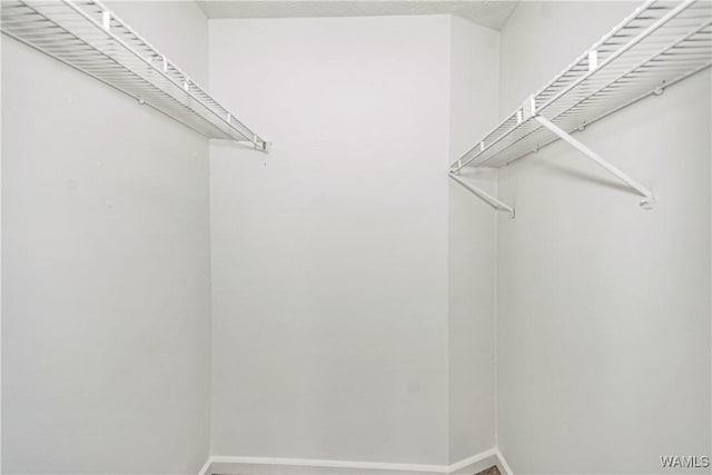 1924 Still Oaks Dr, Montgomery, AL 36117 - view of walk in closet