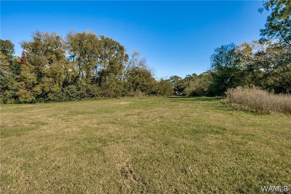 2825 2nd Ave E, Tuscaloosa, AL 35401 - photo 1