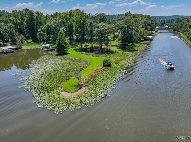 354 Gross Rd, Parrish, AL 35580 - photo 15
