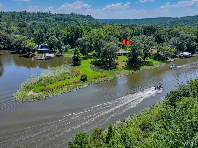 354 Gross Rd, Parrish, AL 35580 - photo 8