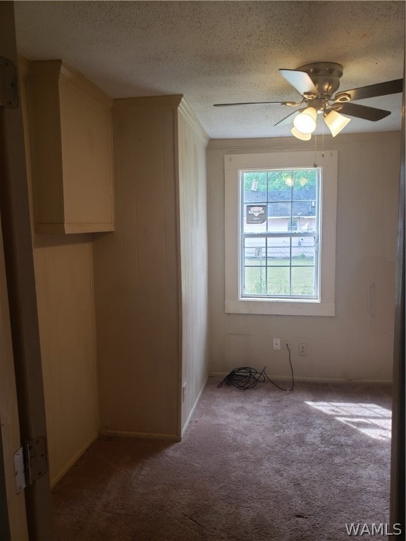 carpeted spare room featuring ceiling fan and a textured ceiling