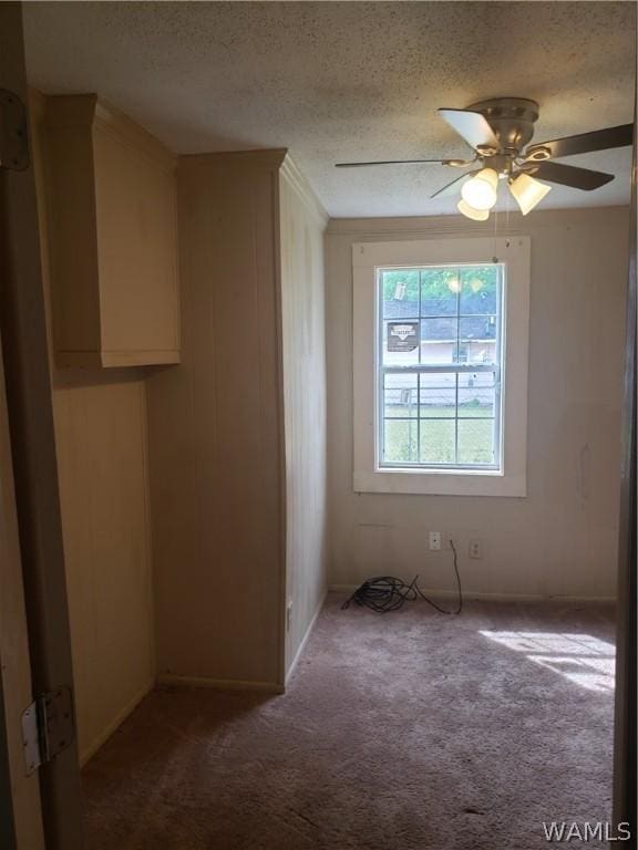 2718 22nd St, Tuscaloosa, AL 35401 - photo 13