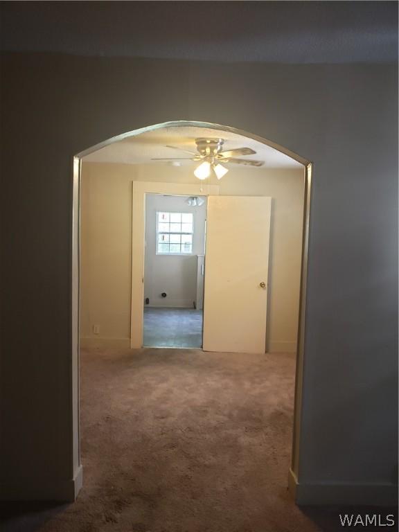2718 22nd St, Tuscaloosa, AL 35401 - photo 8