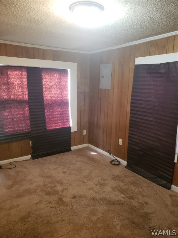 spare room with a textured ceiling, carpet floors, and wooden walls