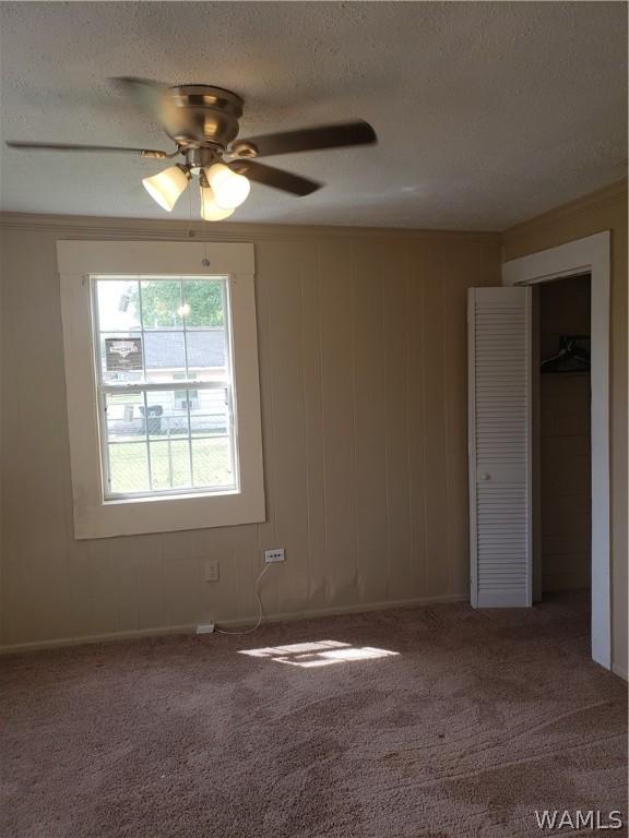 2718 22nd St, Tuscaloosa, AL 35401 - photo 5