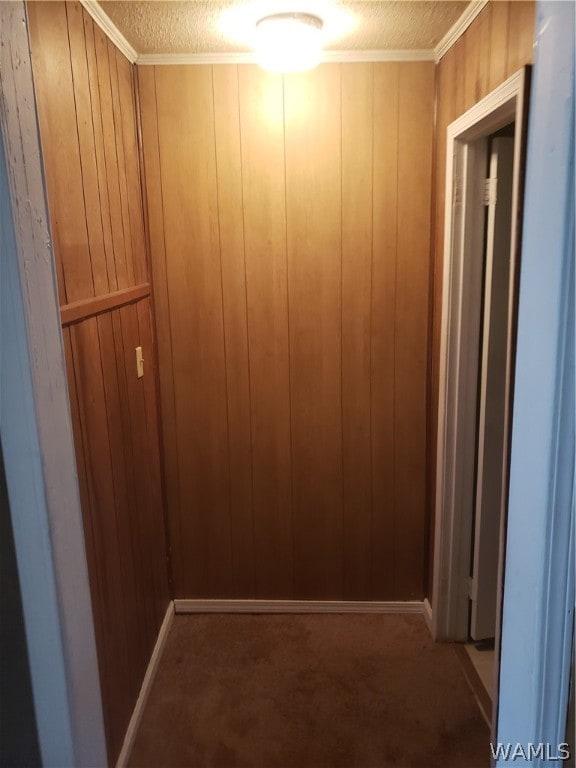 interior space with carpet, wood walls, and a textured ceiling