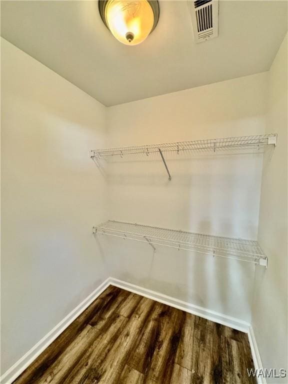192 Roscommon Rd, Tuscaloosa, AL 35405 - walk in closet with dark wood-style flooring