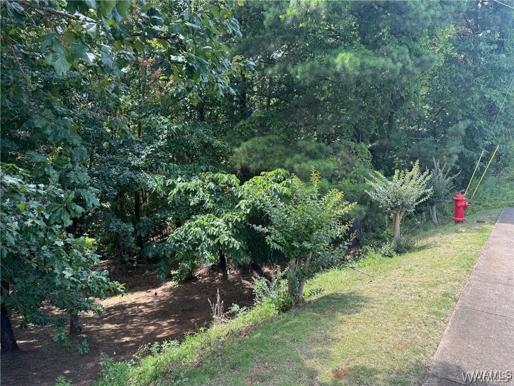 5100 Oak Way, Northport, AL 35473 - photo 1