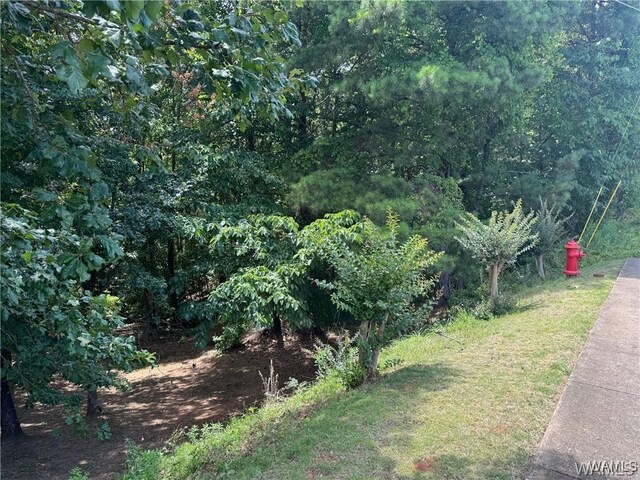 5100 Oak Way, Northport, AL 35473 - photo 1