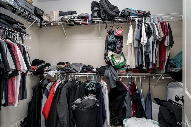 view of walk in closet