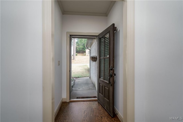 doorway featuring dark wood-type flooring and ornamental molding