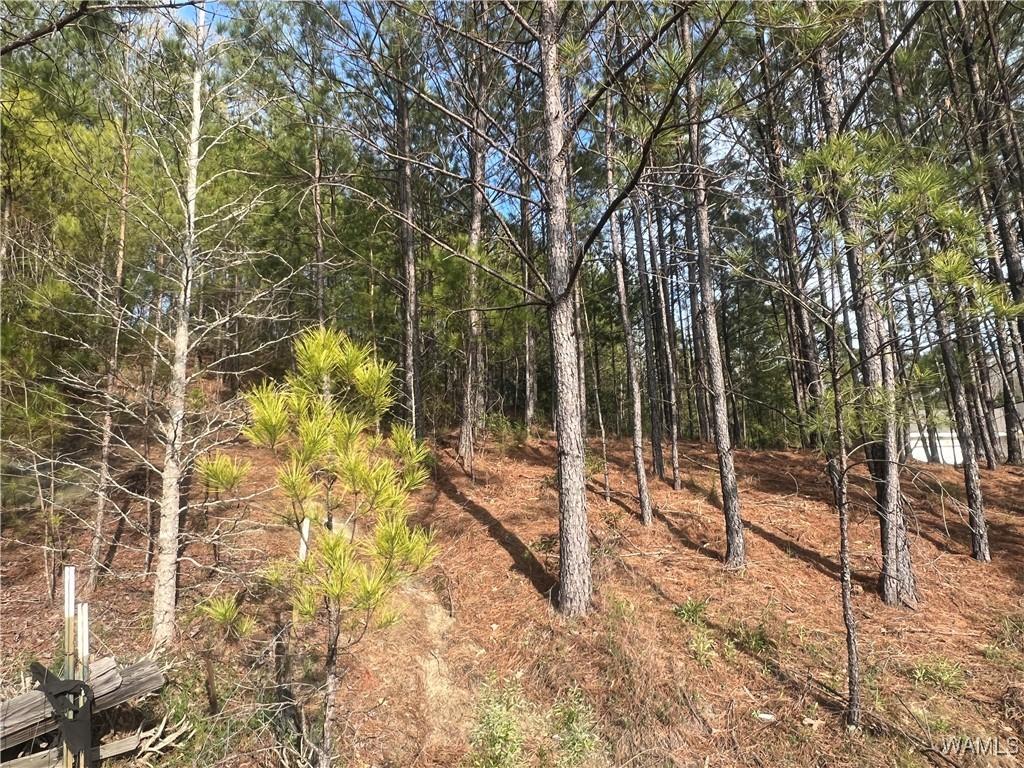 0 Stone Ridge Pkwy, Brookwood, AL 35444
