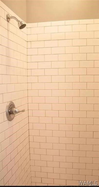 room details with tiled shower