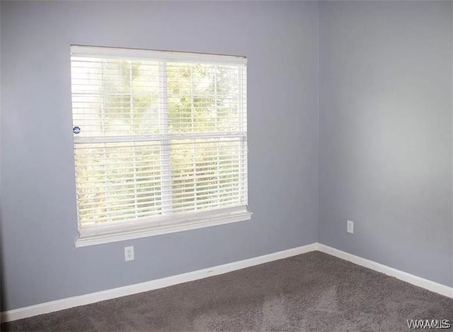 empty room featuring carpet and a healthy amount of sunlight