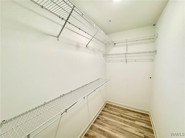 walk in closet with wood finished floors