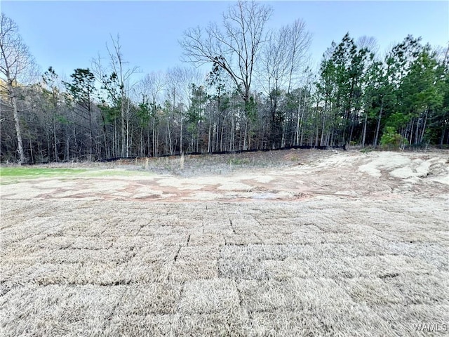 view of yard with a forest view