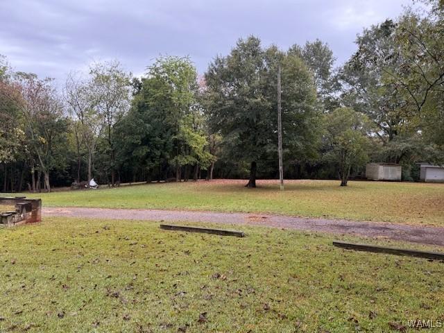 2425 Prince Ave, Tuscaloosa, AL 35401 - photo 5