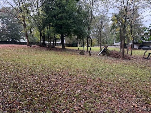 2425 Prince Ave, Tuscaloosa, AL 35401 - photo 8