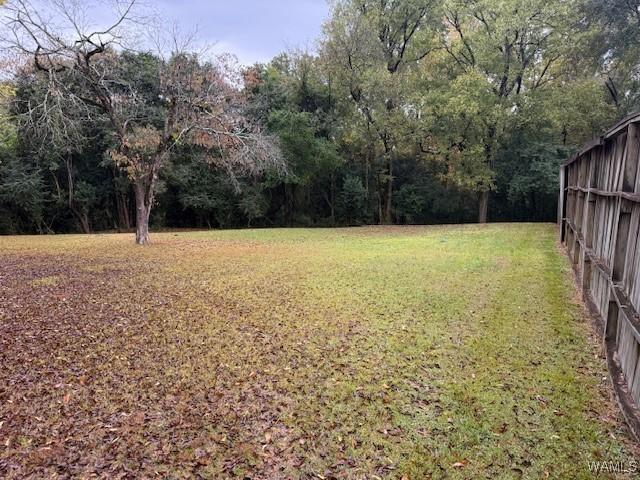 2425 Prince Ave, Tuscaloosa, AL 35401 - photo 6