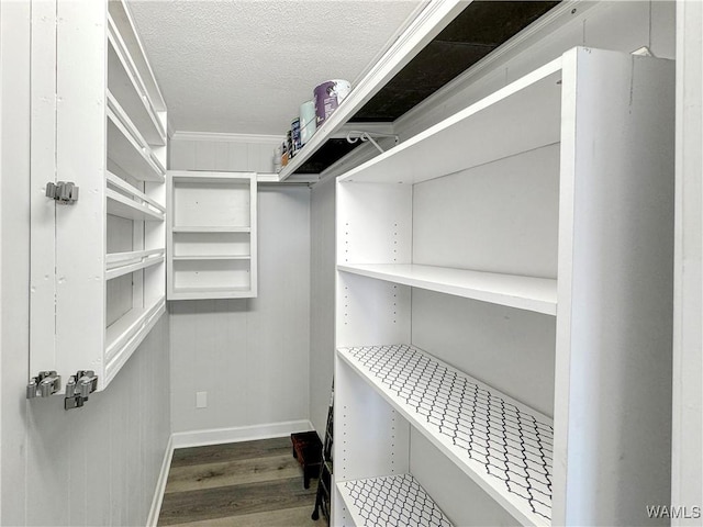 walk in closet with wood finished floors