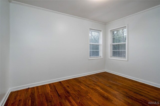 spare room with baseboards, dark wood-style flooring, and crown molding