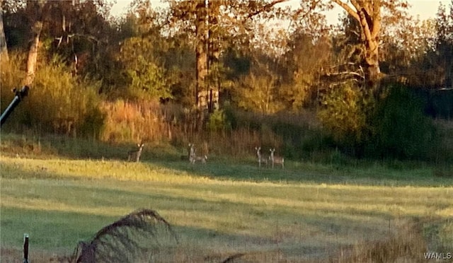 view of nature
