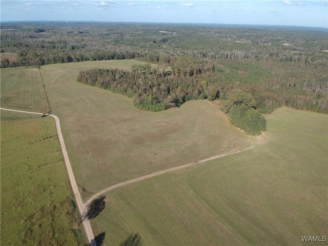 drone / aerial view with a rural view